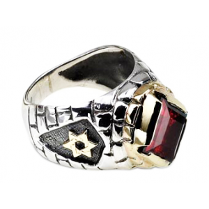 Rafael Jewelry Sterling Silver Ring with Yellow Gold Star of David and Jerusalem Motif & Garnet Israeli Jewelry Designers