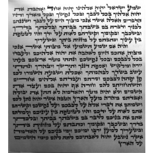 Ashkenazi (Ari) Mezuzah Scroll, 15 cm Judaica