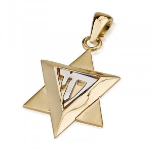 Star of David and Chai Pendant in 14K Gold Jewish Necklaces