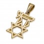 Star of David with Chai Design Pendant in 14k Yellow Gold